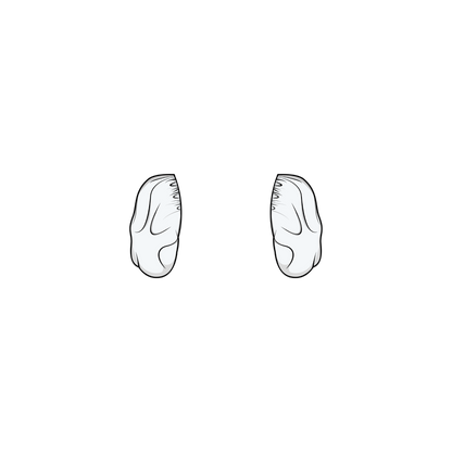 PUFF SLEEVE (PDF)